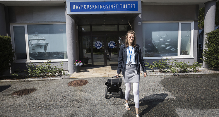 Ragna Ullebø Heggstad til lokalbutikkene med trillevognen sin for å handle frisk frukt til ansatte ved Havforskningsinstituttet.