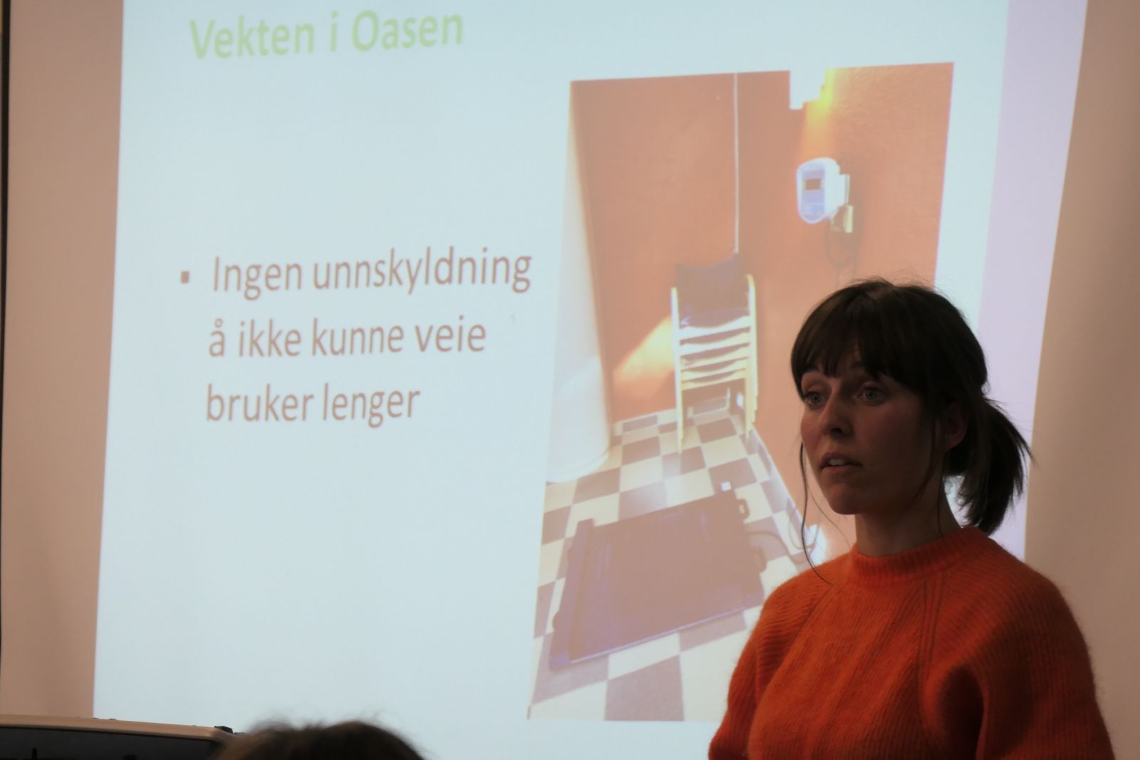 Bilde fra fremlegg fra bydel Sagene