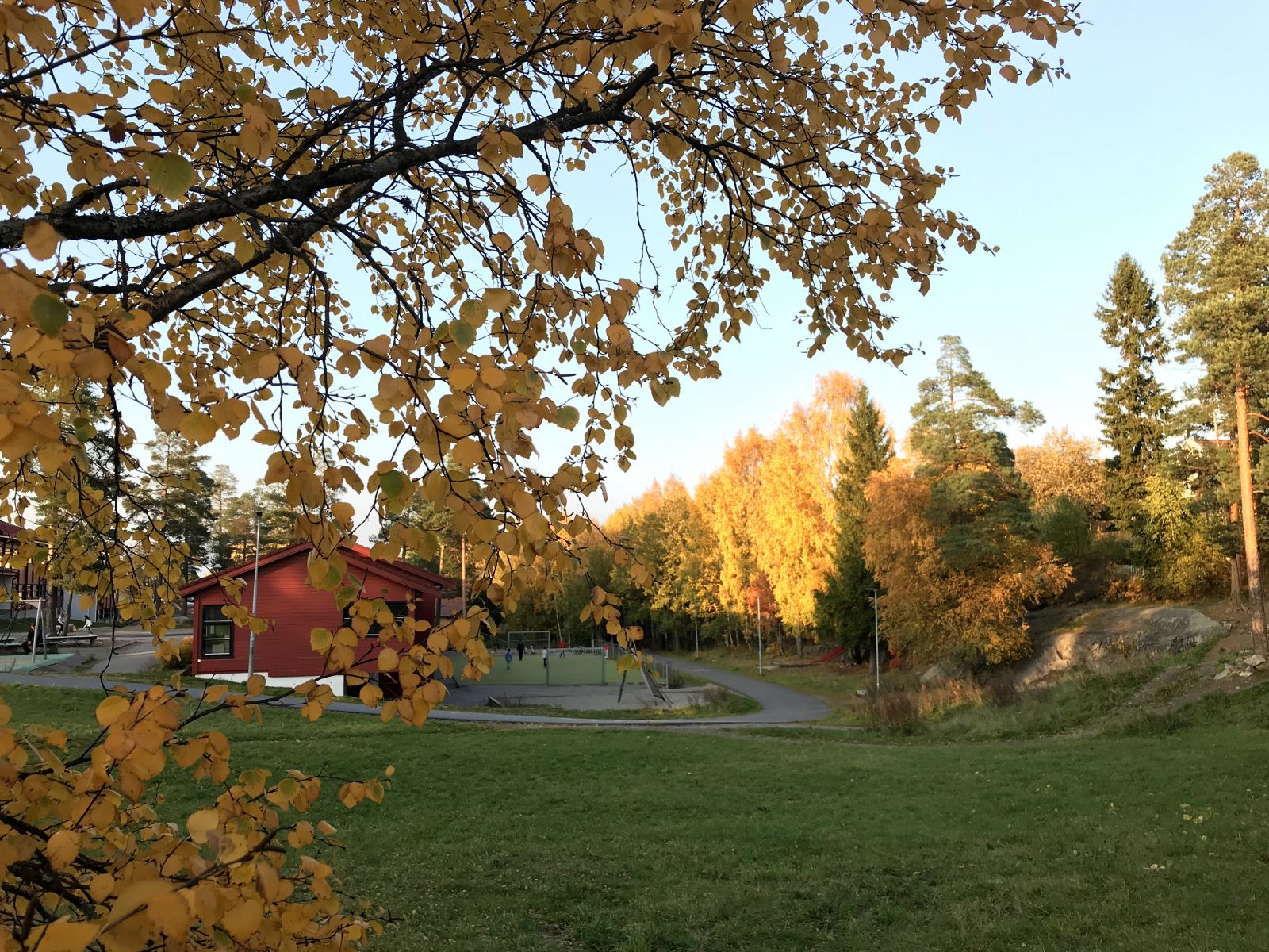 Bilde av trær med høstfarger og barn som leker i bakgrunnen.