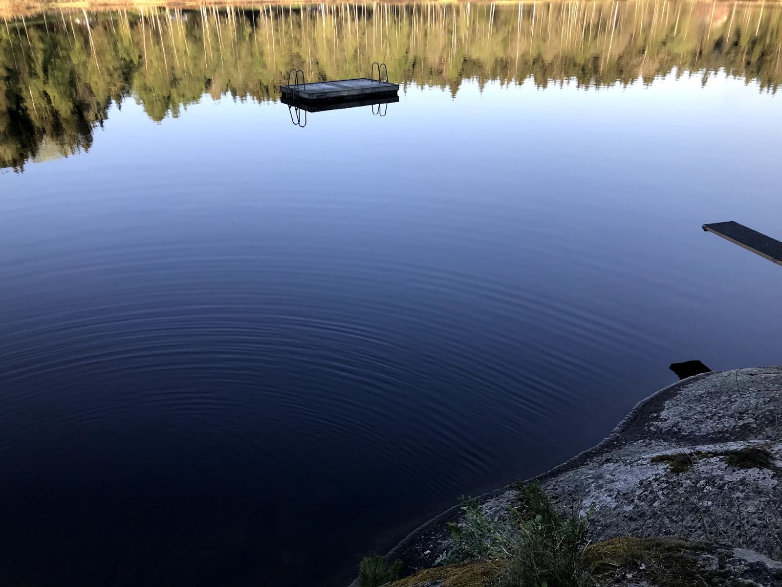 Illustrasjonsfoto natur