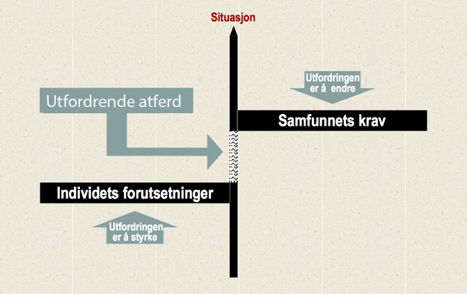 En illustrasjon på samspillet mellom individ og samfunn som skaper utfordrende atferd