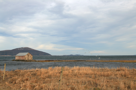 Bilde av havet og et naust © Oda Ellingsen