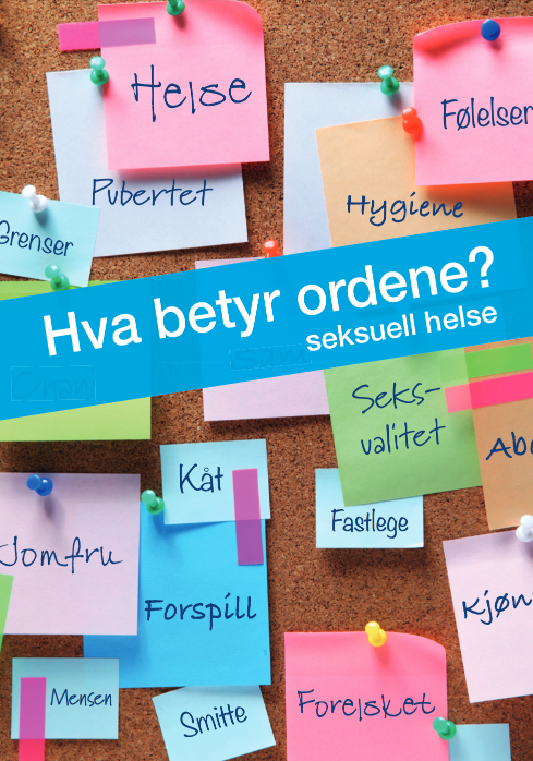 Bilde av boka Hva betyr ordene?