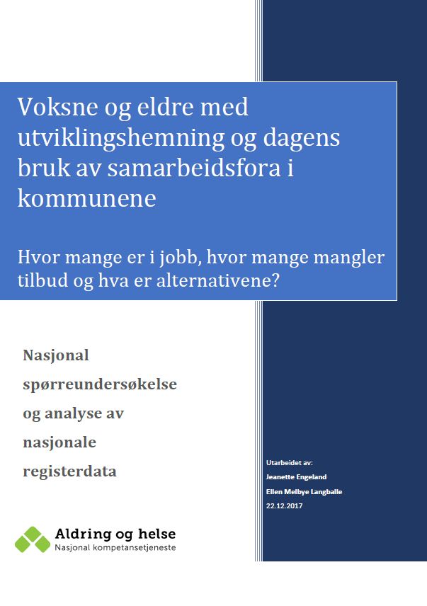 Bilde av rapporten 