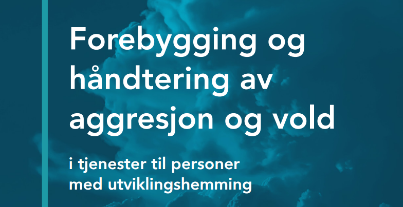 Bilde av forsiden til veilederen