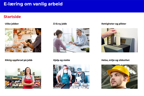 Bilde som viser ulike tema for e-læring