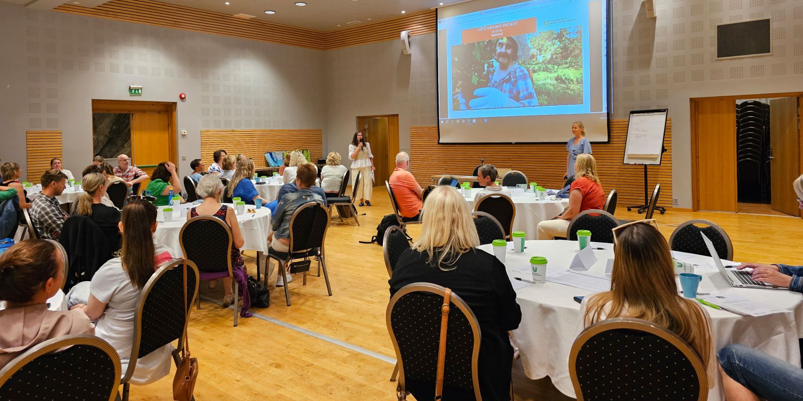 Oversiktsbilde fra konferansesalen