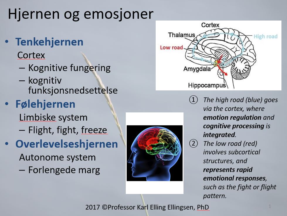 Bilde av første side av powerpointen