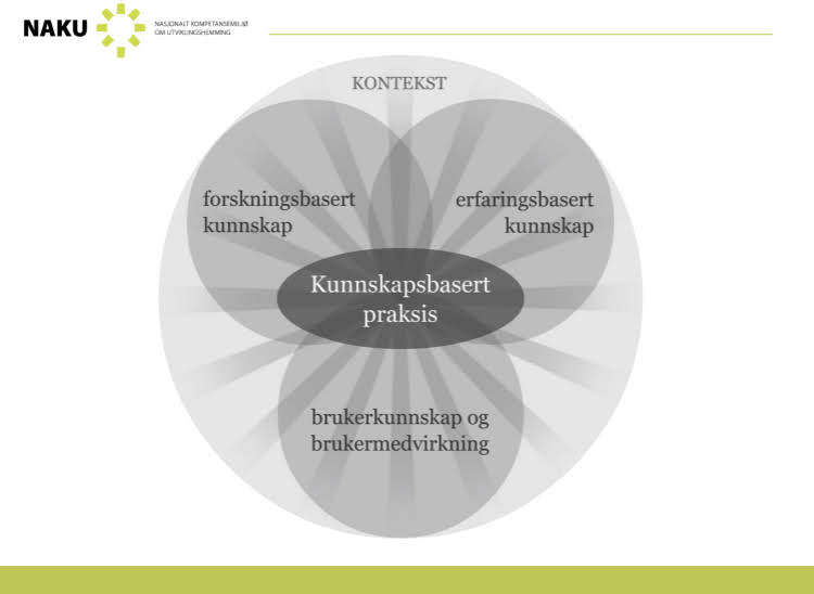 Bilde av modell for kunnskapsbasert praksis