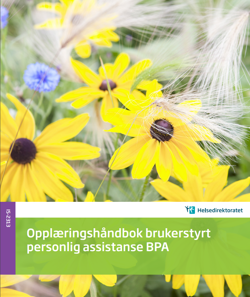 Bilde av opplæringshåndbok om BPA