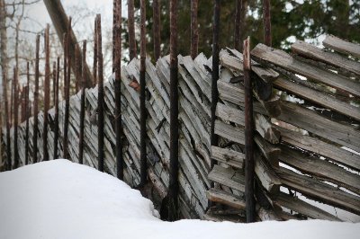 Bilde av en skigaard - © Karl Elling Ellingsen